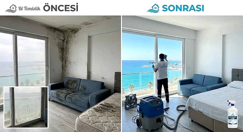 Mersin Yenişehir sahil bandında nemden kaynaklı küf temizliği ve koltuk yıkama işlemi öncesi sonrası karşılaştırması - Bi Temizlik Profesyonel Çözümler